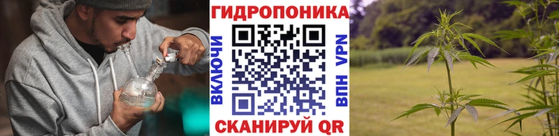 Купить  Богородск  МАРИХУАНА сатива 